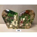 TWO LUCITE BOOKENDS SHOWING UNDERSEA SCENE, 15CM
