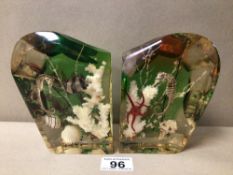 TWO LUCITE BOOKENDS SHOWING UNDERSEA SCENE, 15CM