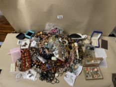 AN EXTENSIVE COLLECTION OF COSTUME JEWELLERY