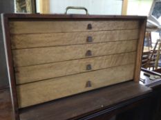 ROSEWOOD AND BURR WALNUT FIVE DRAWER COLLECTORS CHEST