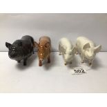TWO WHITE BESWICK ENGLAND MODEL BOARS WITH TWO ROYAL DOULTON MODEL BOARS