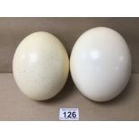 TWO EMPTY OSTRICH EGGSHELLS