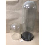 TWO LARGE VINTAGE DOME GLASS DISPLAY SHOWCASES, ONE WITH A WOODEN BASE, THE LARGEST BEING 60CM IN