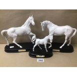 THREE WHITE ROYAL DOULTON HORSES ON PLINTHS, THE LARGEST 25CM