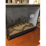 CASED TAXIDERMY OF ADDER SNAKE