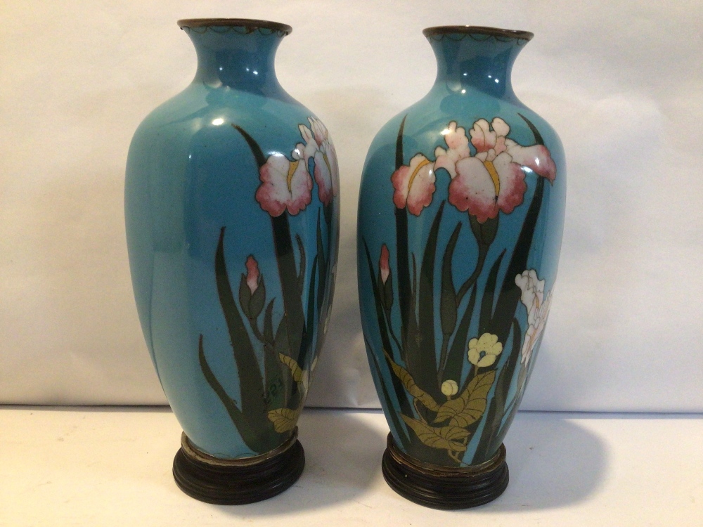 PAIR OF JAPANESE CLOISONNE ENAMEL VASES DECORATED IRIS ON A BLUE GROUND, 20CM (1 A/F) - Image 2 of 3