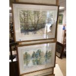 TWO ELAINE PETTS WATERCOLOURS BOTH FRAMED AND GLAZED, 53 X 67CM