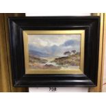 ALBERT STEVENS, ENGLAND, SIGNED WATERCOLOUR OF A RIVER SCENE FRAMED AND GLAZED EBONISED FRAME, 28