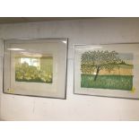 TWO DOROTHY BART 20TH CENTURY SIGNED LIMITED EDITION PRINTS BOTH FRAMED AND GLAZED, THE LARGEST 63 X
