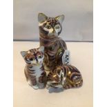 THREE ROYAL CROWN DERBY CATS, THE LARGEST 13CM