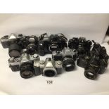 SMALL COLLECTION OF CAMERAS, INCLUDES NIKON, YASHICA, CANON, AND MORE