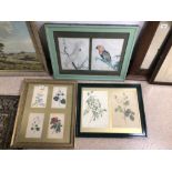 FRAMED AND GLAZED PRINTS, FLOWERS, AND BIRDS, THE LARGEST 67 X 53CM