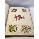 BOOK OF HANDPAINTED CHINESE PICTURES, FIGURES, PLANTS & BIRDS