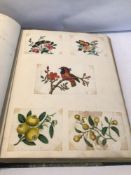 BOOK OF HANDPAINTED CHINESE PICTURES, FIGURES, PLANTS & BIRDS