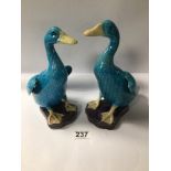 TWO CHINESE PORCELAIN TURQUOISE BLUE FIGURAL DUCKS. THE LARGEST BEING 23CM IN HEIGHT.