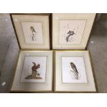 SIGNED EDWIN T CHICKEN PRINTS OF BIRDS X 4 ALL FRAMED AND GLAZED