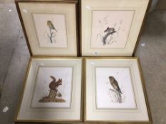 SIGNED EDWIN T CHICKEN PRINTS OF BIRDS X 4 ALL FRAMED AND GLAZED