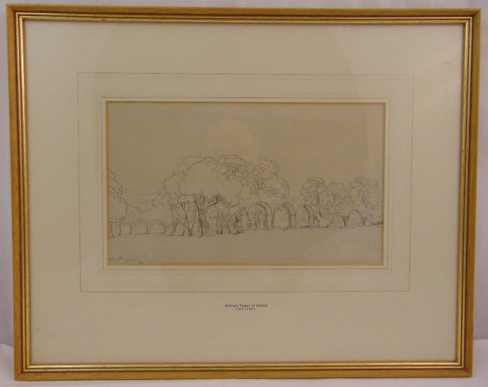 William Turner of Oxford framed and glazed monochromatic drawing of trees in a landscape signed