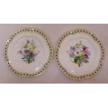 A pair of hand painted cabinet plates decorated with flowers and with scallop border, 24cm (dia)