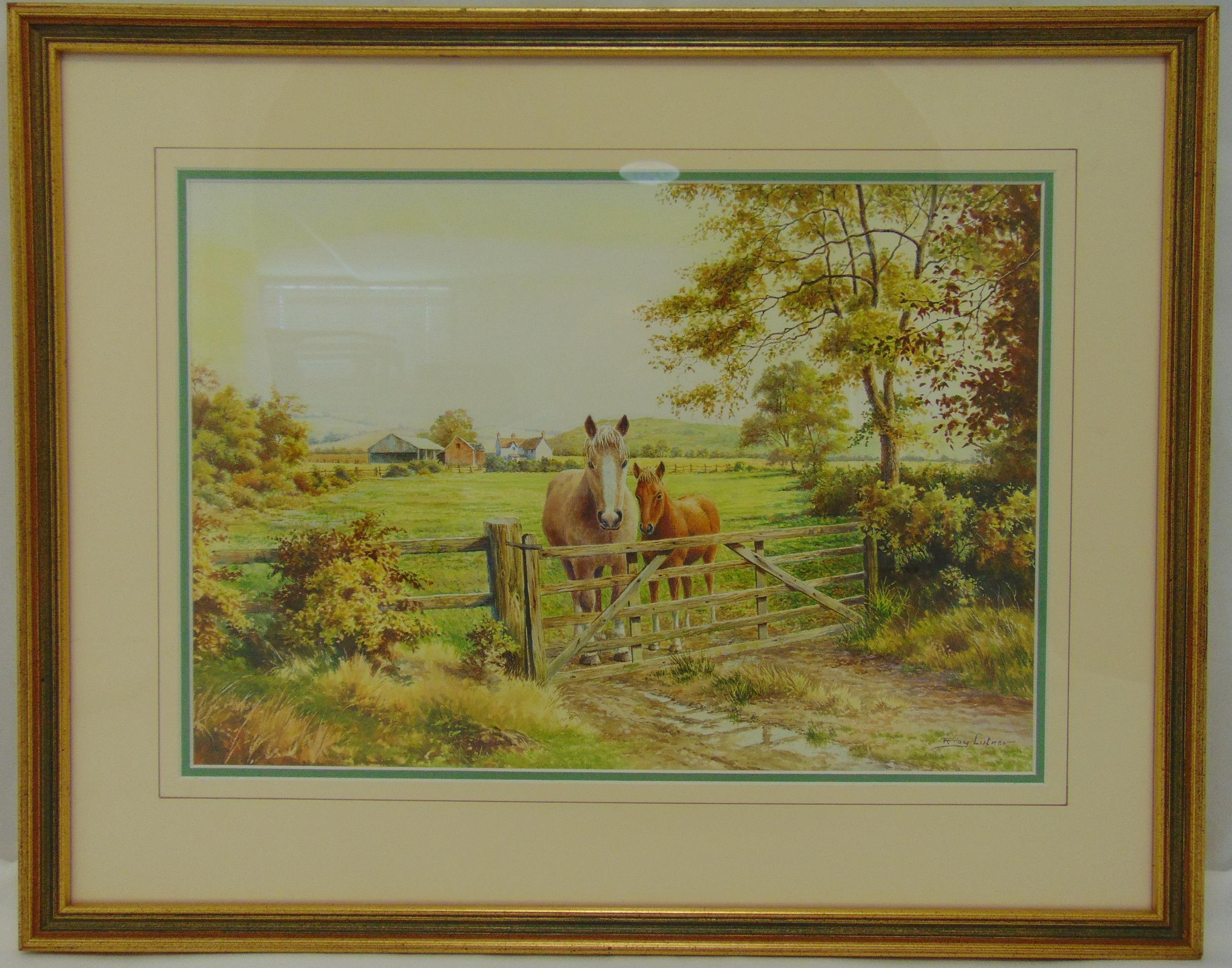 Roy Lutner framed and glazed watercolour of a horse and foal by a gate, signed bottom right, 27.5