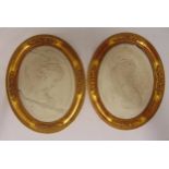A pair of carved reconstituted stone plaques of classical female profiles in oval gilded frames,