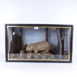 TAXIDERMY - a groundhog or woodchuck in naturalistic surround, in painted glazed case, case size