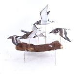 Clive Fredriksson, hand carved and painted wood sculpture, birds in flight, log base length 42cm