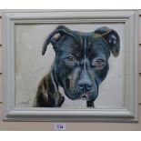 Clive Fredriksson, oil on board, study of a Staffordshire Terrier, 37cm x 46cm