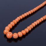A late 19th/early 20th century graduated coral bead necklace, with an unmarked yellow metal engraved