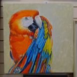 Clive Fredriksson, acrylics on canvas, parrot, 60cm x 60cm