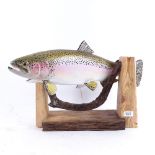 Clive Fredriksson, hand carved and painted wood sculpture, rainbow trout, fish length 58cm