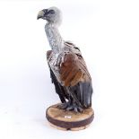 Clive Fredriksson, large hand painted wood and plaster sculpture, vulture, on metal-bound barrel