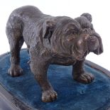 A bronze-patinated spelter Bulldog wearing a collar, seal mark under foot BK Co, early 20th century,