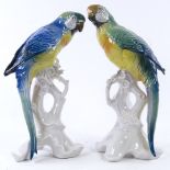 A pair of Karl Ens porcelain Parakeet bird figures, tallest 25.5 cm. Overall good condition, 1