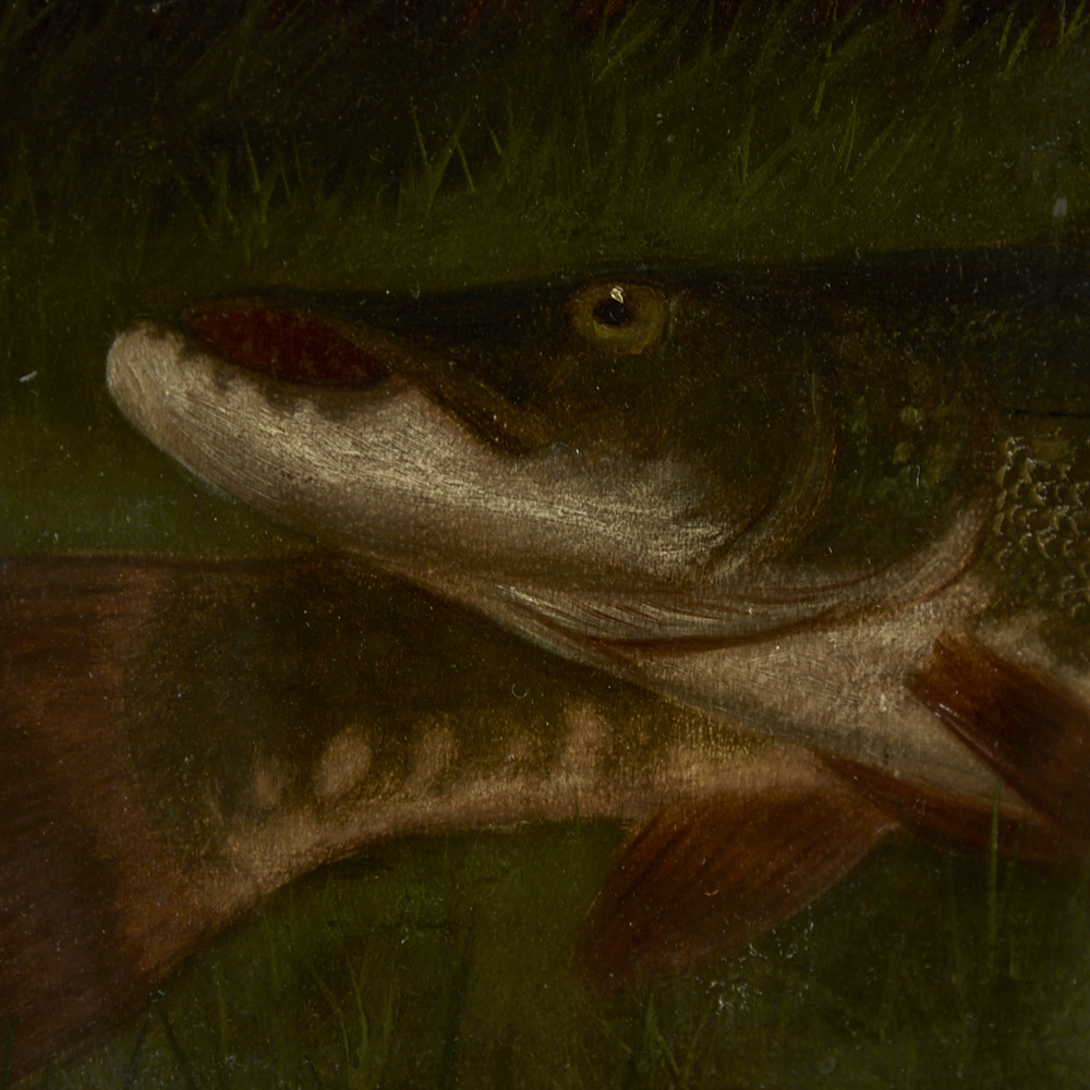 Roland Knight (fl. 1879 - 1921), oil on canvas laid on board, pike on a riverbank, signed, 18" x - Image 5 of 8