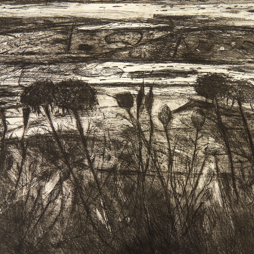 Contemporary British School, large etching, landscape, unsigned proof, image 18" x 24", unframed - Image 3 of 8