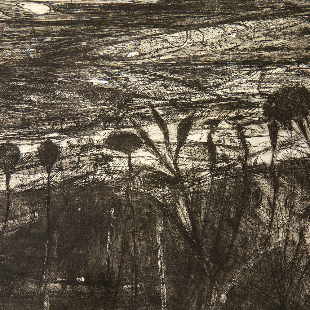 Contemporary British School, large etching, landscape, unsigned proof, image 18" x 24", unframed - Image 6 of 8