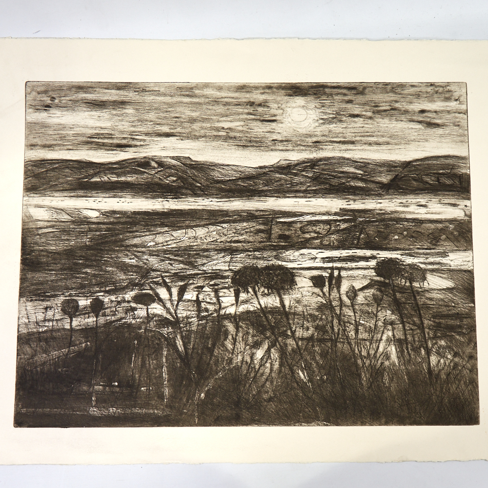 Contemporary British School, large etching, landscape, unsigned proof, image 18" x 24", unframed - Image 2 of 8