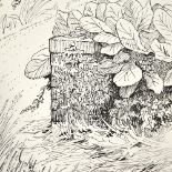 David Burley (1901 - 1990), pen and ink drawing, garden edge, 1986, signed, 15" x 11", unframed Good