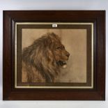 Frederick William Burton (1816 - 1900), pencil/pastel on paper, head of a lion, signed with