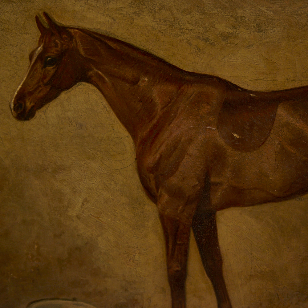 Arthur Louis Townshend (act. 1880-1912), oil on canvas, portrait of the Chestnut racehorse, Gambler, - Image 3 of 4