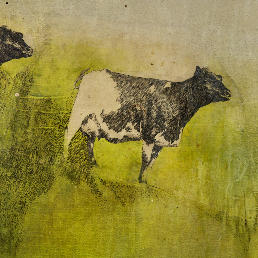 Linda Mallett, oil on canvas, cattle, 1974, 36" x 36", framed Good condition, would benefit from a - Image 2 of 4