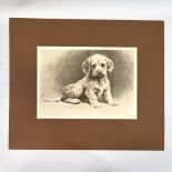 Herbert Dicksee, etching, Dandie pup, signed in the plate with date 1927, plate size 9.5" x 14",