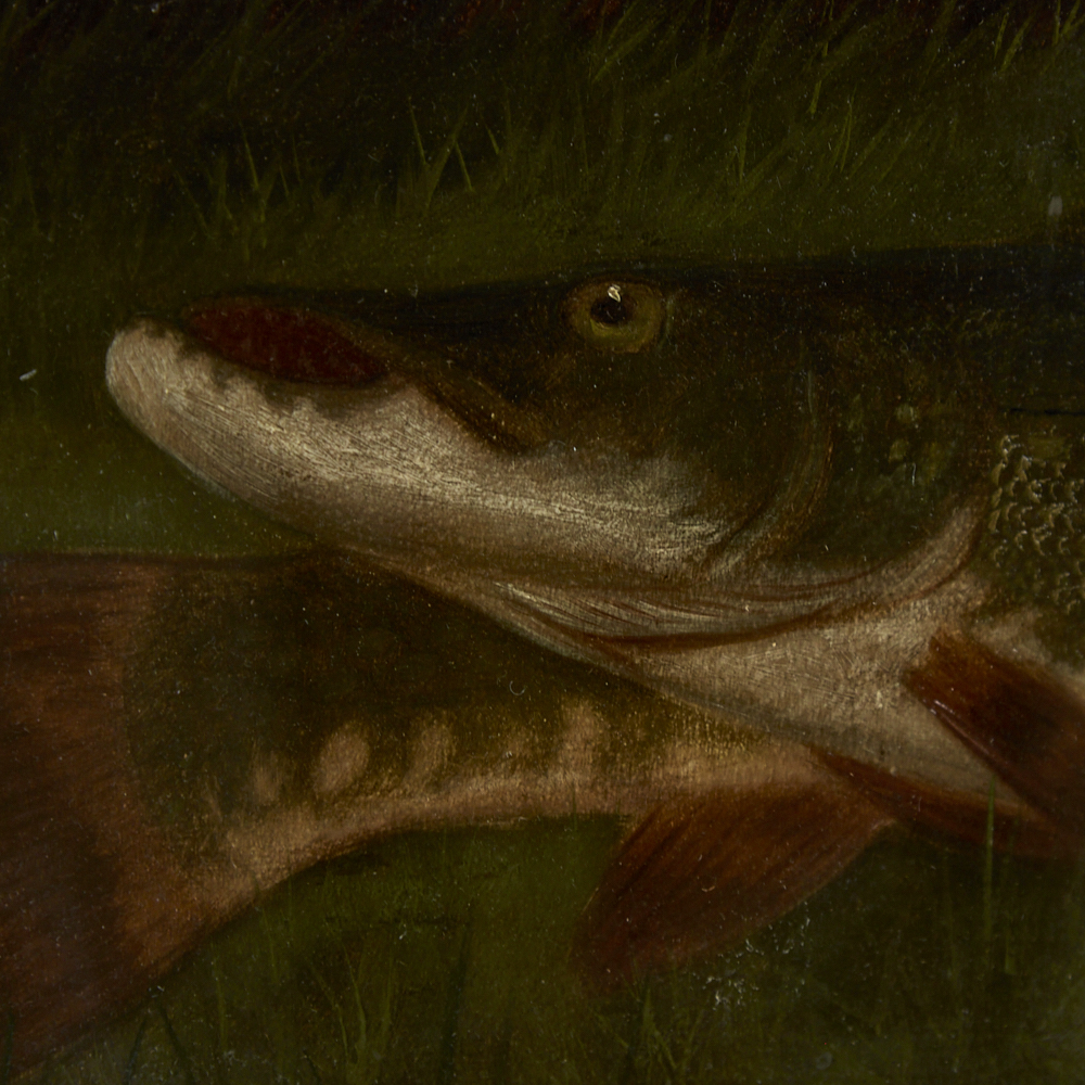 Roland Knight (fl. 1879 - 1921), oil on canvas laid on board, pike on a riverbank, signed, 18" x - Image 6 of 8