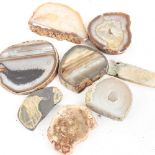 Various natural crystal geode slices, including banded agate and fossilised wood, largest diameter