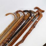 A bundle of walking sticks, including a horn-handled example with engraved silver collar, and an