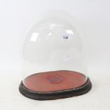 A Victorian glass dome, and stained wood base, dome internal height 25cm, internal length 22.5cm,