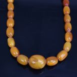 A long graduate single-row butterscotch amber bead necklace, beads measuring from 27.8mm to 13.