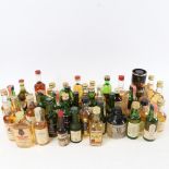 A collection of miniature Napoleon Brandy, Calvados, Whisky etc