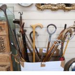 Walking sticks, shooting sticks, horn-handled riding crop, window opener etc